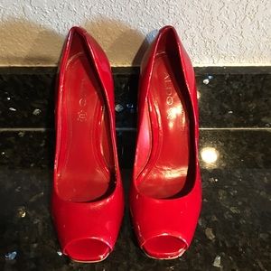Aldo (Authentic)